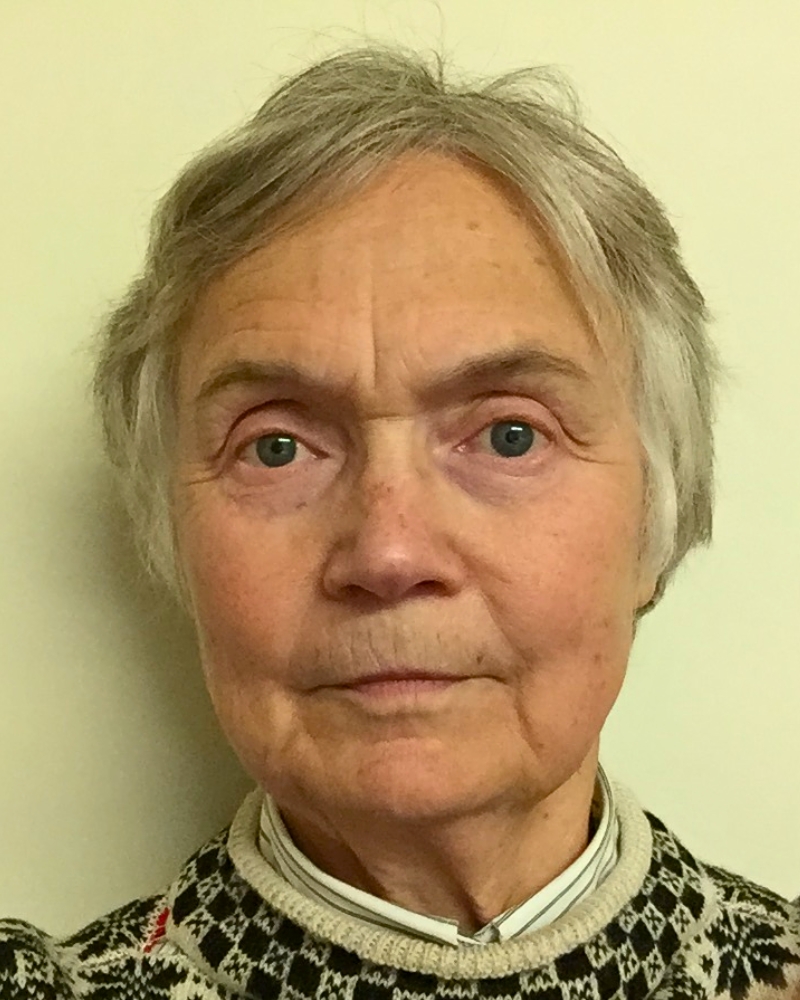 Prof Jane Geddes FSA, FSA (Scot)